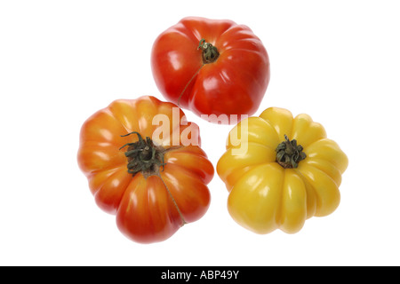 Cimelio di pomodori tagliati fuori su sfondo bianco Foto Stock