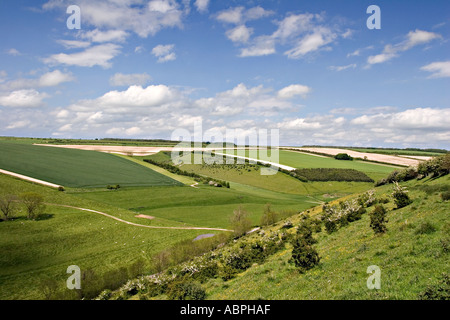 Yorkshire Wolds vicino Thixendale UK in primavera Foto Stock