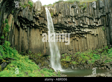 Svartifoss cade nella cattedrale - come la roccia basaltica, Islanda Foto Stock