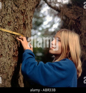 Una scuola una studentessa allievo misurando la circonferenza di un albero in un campo viaggio Llandeilo Carmarthenshire Wales UK KATHY DEWITT Foto Stock