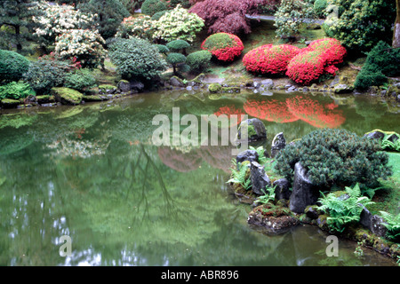 Fioritura azalee si riflette in un laghetto in giardino giapponese Portland Oregon USA Foto Stock