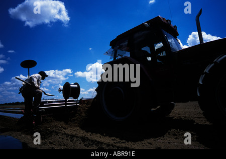 Guatemala lavoratore migrante in una fattoria in Québec Canada Foto Stock