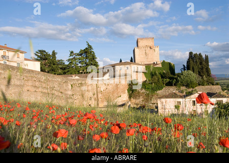 Castello di Trastamara Enrique 11 in Ciudad Rodrigo la torre incorniciato da una fluente campo di papaveri al tramonto con le vecchie mura della città Foto Stock