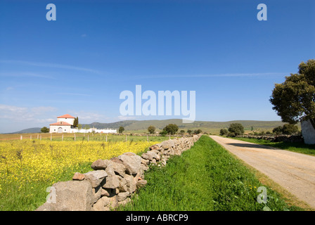 Monastero e cimitero vicino Cespedosa de Tormes Castilla y Leon Spagna Foto Stock