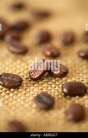 I chicchi di caffè sulla superficie di tela Foto Stock