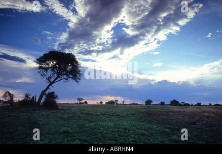 Tramonto sulla Linyanti golene, Caprivi Orientale, Africa Foto Stock