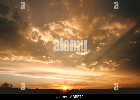 Tramonto sul paesaggio Sud Africa Africa Foto Stock