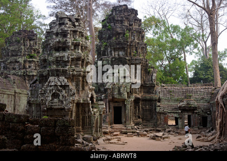 Le rovine di Ta Prohm tempio di Angkor, Cambogia. Foto Stock