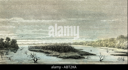Apu Paro River 1869 plaines di Sacrement Perù Foto Stock