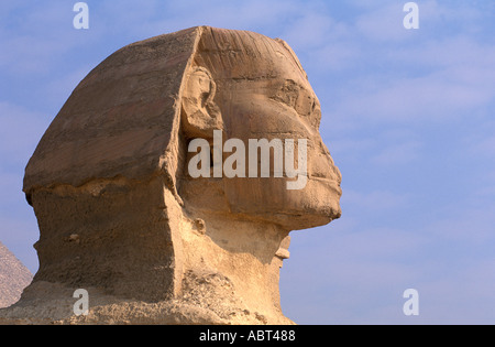 Egitto Giza Testa della Sfinge Foto Stock
