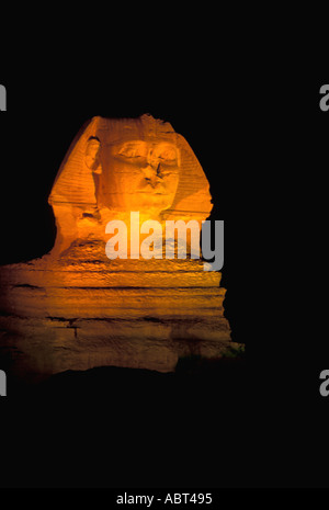 Egitto Giza Sphinx Spettacolo di Suoni e Luci con un colorato in giallo volto circondato da notte nera Foto Stock
