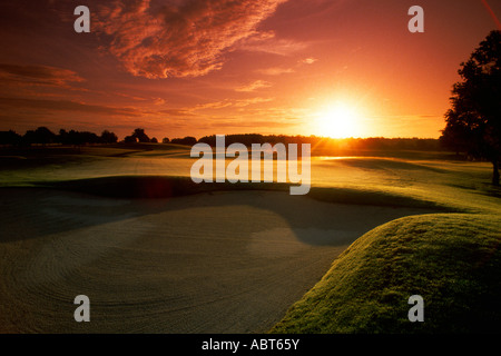 Golf green presso sunrise Florida Foto Stock