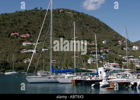 Tortola,Isole Vergini Britanniche,BVI,B.V.I.,Indie Occidentali,Mare dei Caraibi,acqua,Oceano Atlantico,acqua,territorio britannico,Isole Leeward,piccole Antille,Frenchmans Foto Stock