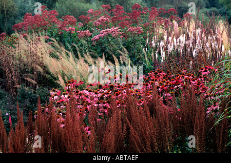 Pensthorpe Millenium Giardino Norfolk England Regno Unito Foto Stock