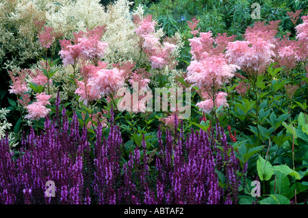 Pensthorpe Millenium Giardino Norfolk England Regno Unito Foto Stock