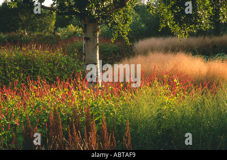 Pensthorpe Millennium Giardino Norfolk England Regno Unito Foto Stock