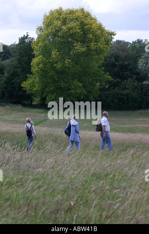 Walkers su Hampstead Heath, Londra, Regno Unito, Foto Stock