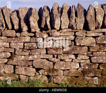 Stalattite parete chiamata una diga o drystane dyke in Scozia Foto Stock