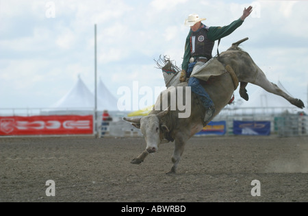 I cowboys vaiolatura le loro abilità contro ruvido e vizioso tori a Stampede Alberta Canada Foto Stock