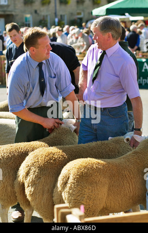 I giudici a giudicare le pecore a Masham ovini Fiera, Yorkshire, Inghilterra, Regno Unito Foto Stock