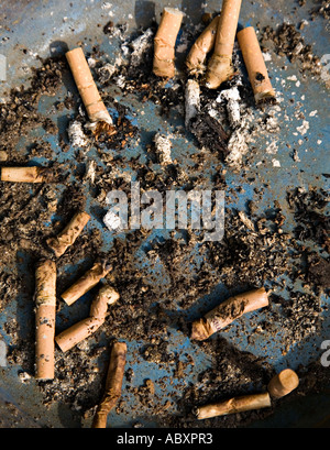 Mozziconi di sigaretta stubbed fuori in un posacenere Wales UK Foto Stock