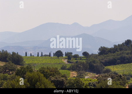 Chateauneuf du Pape vicino a Avignon Provence Francia vista sui vigneti verso le colline ai piedi del Mont Ventoux Foto Stock