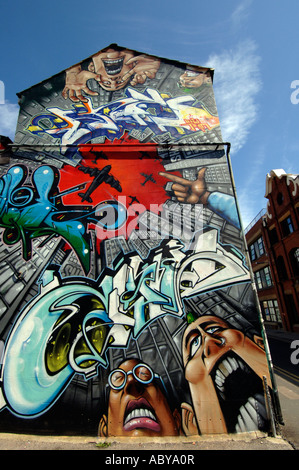 Wild arte dei graffiti decorano il retro del case in Robert Street North Laine Brighton East Sussex Foto Stock