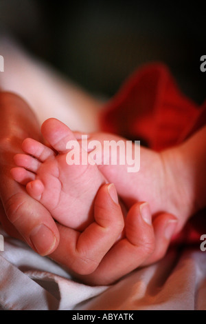 Una madre detiene il delicato piccolo piccolo piedi in miniatura del suo neonato teneramente nel suo femmina adulta mani per senso di scala Foto Stock