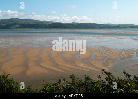 Vicino a Blaenau Ffestiniog guardando fuori attraverso Afon Mawddach estuary a bassa marea Foto Stock