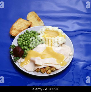 Piastra di colore blu speciale hot il tacchino arrosto con sugo di carne le fette di patate schiacciate potatoe ripieno di piselli verdi aglio pane salsa di mirtilli Foto Stock