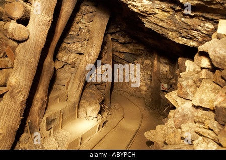 Daydream miniera Silverton vicino a Broken Hill Outback Nuovo Galles del Sud Australia Foto Stock