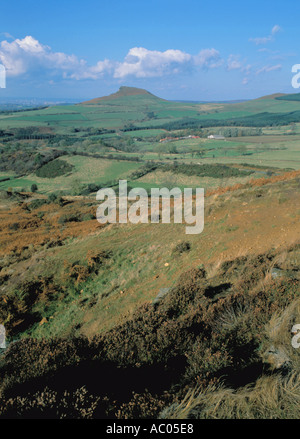 Roseberry Topping (1051 ft alta)sul bordo settentrionale del North York Moors, vicino grande Ayton, North Yorkshire, Inghilterra, Regno Unito. Foto Stock