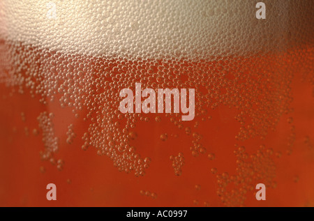 Close up di un bicchiere di birra e la schiuma Foto Stock