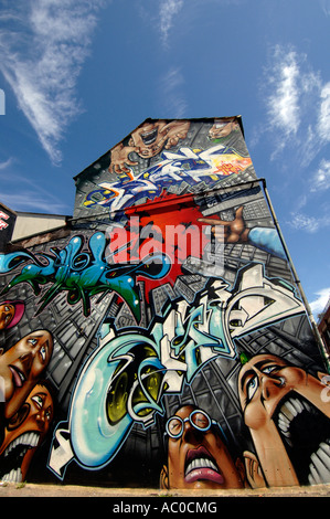 Wild arte dei graffiti decorano il retro del case in Robert Street North Laine Brighton East Sussex Foto Stock