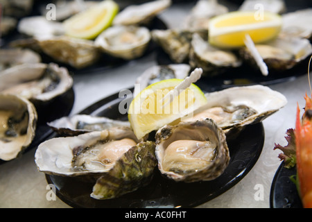 Piastre di ostriche fresche pronto per mangiare a Sydney s Mercato del Pesce a Pyrmont Foto Stock