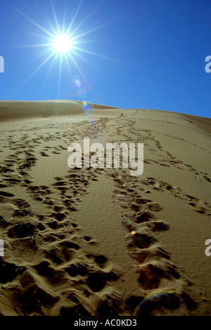 Footprint di confusione su un deserto dune di sabbia in grandi dune di sabbia Monumento Nazionale in Colorado USA Foto Stock