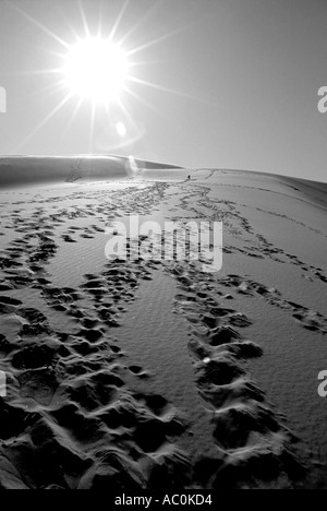 Footprint di confusione su un deserto dune di sabbia in grandi dune di sabbia Monumento Nazionale in Colorado USA Foto Stock