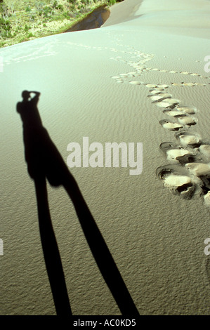 Fotografo ombra self portraitr presso le grandi dune di sabbia Monumento Nazionale in Colorado USA Foto Stock