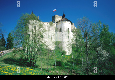 Il castello di Niedzica durante la primavera, Polonia Foto Stock