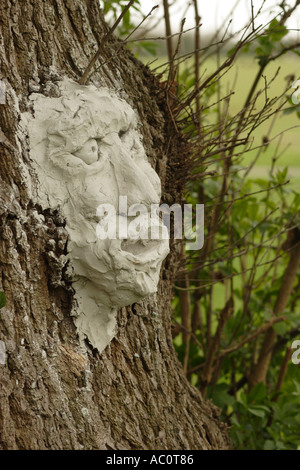 Maschera costituita da argilla e attaccato al tronco della antica quercia Foto Stock