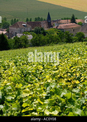 Piccolo villaggio vicino a bar sur Aube nella regione di Champagne di Francia con le colline di vigneti Vigneti in primo piano Foto Stock