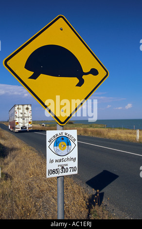 Turtle crossing segno, Australia Foto Stock