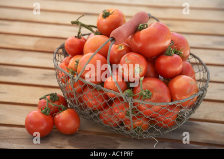 Selezione dei pomodori organico nel cestello sulla superficie ardesiata Foto Stock