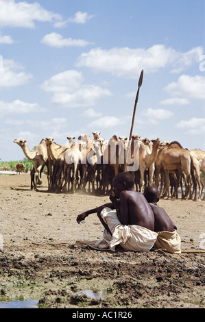 Gabbra giovani vegli su cammelli bere un Kalacha waterhole Chalbi Desert Kenya Settentrionale Africa orientale Foto Stock