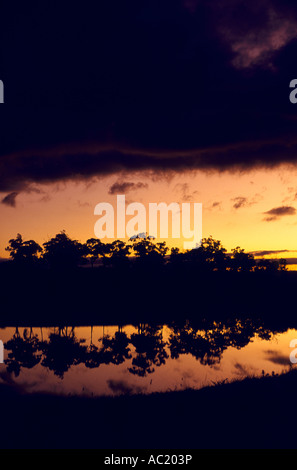 Alba cielo sopra il fiume Macquarie, Tasmania, Australia, verticale Foto Stock