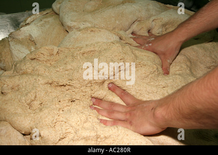 Impastare impastare il pane Foto Stock