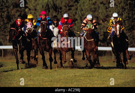 Paese corsa incontro, Parkes, Nuovo Galles del Sud, Australia Foto Stock