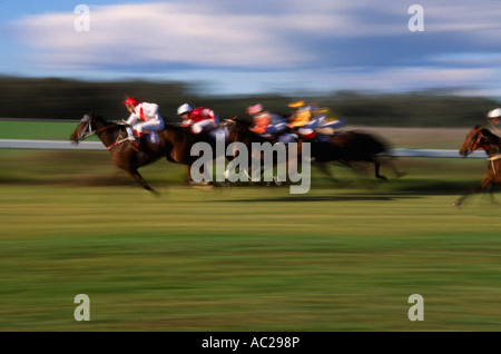 Paese corsa incontro, Parkes, Nuovo Galles del Sud, Australia, orizzontale Foto Stock