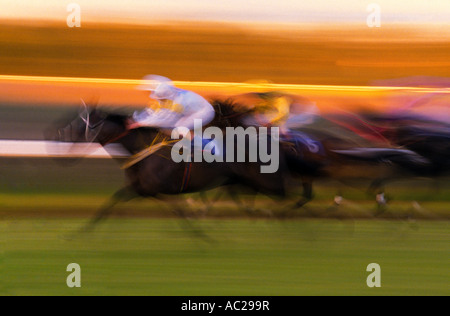 Paese corsa incontro, Parkes, Nuovo Galles del Sud, Australia Foto Stock