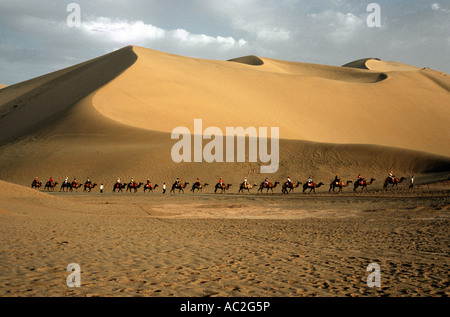 Luglio 12, 2006 - Camel caravan trekking attraverso il deserto al Mingsha Shan in Cina meridionale del Gobi. Foto Stock